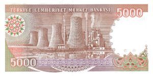 Turkey, 5,000 Lira, P198