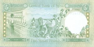 Syria, 5 Pound, P100c