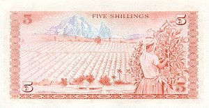 Kenya, 5 Shilling, P11b