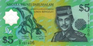 Brunei, 5 Dollar, P23