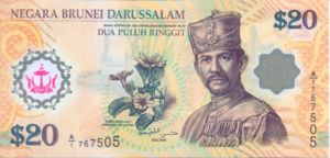 Brunei, 20 Dollar, P34a, B206a