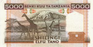 Tanzania, 5,000 Shilingi, P28x