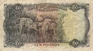 Rhodesia and Nyasaland, 10 Pound, P23a v5