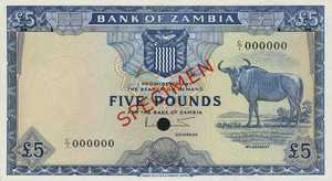 Zambia, 5 Pound, P3s