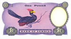 Zambia, 1 Pound, A1