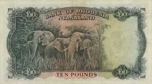 Rhodesia and Nyasaland, 10 Pound, P23a v6